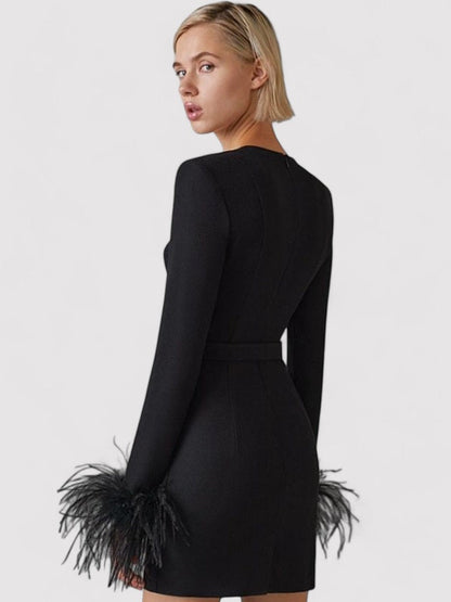 Women's Long Sleeve Feather Bodycon Mini Dress