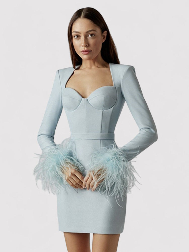 Women's Long Sleeve Feather Bodycon Mini Dress